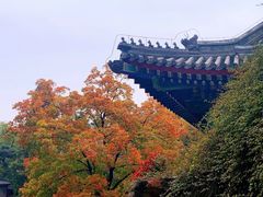 -香山公园