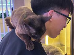 -满记甜品(王府井北京市百货大楼店)