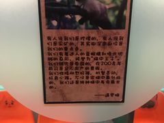 -猫咪博物馆(顶澳仔猫街店)