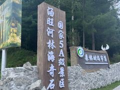 -汤旺河林海奇石景区