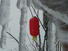 -梧桐餐厅(泉城路店)