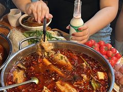 -蛙蛙鸡冷锅鱼(驷马桥店)