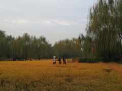-北坞公园