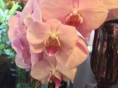 -Flower in(密渡桥店)