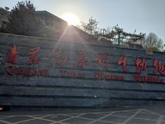-青藏高原野生动物园