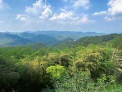 -莫干山风景区