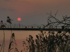 -苏州太湖湖滨国家湿地公园