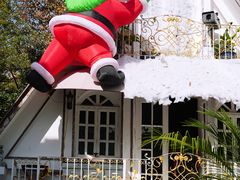 -弦月窗LUNETTE BY AMANDA(复兴路店)