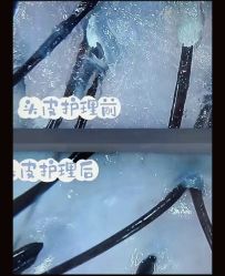 -匠心荟MG染烫店