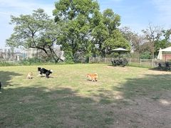 -趣多多宠物公园·宠物训犬学校·宠物寄养