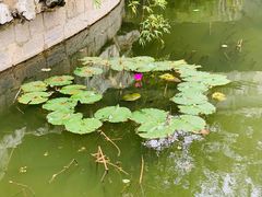-厦门园林博览苑
