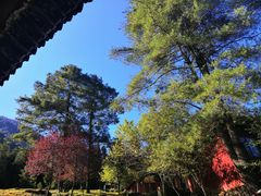 -冕宁灵山寺