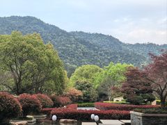 -逸廊大堂吧-下午茶·简餐-千岛湖自由洲际殿