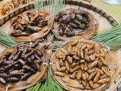 -昆虫窝子·特色云南菜(拓东路总店)