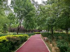 -绿堤公园