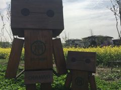 -田园东方蜜桃村的田野营地
