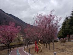 -保利·新九寨宾馆