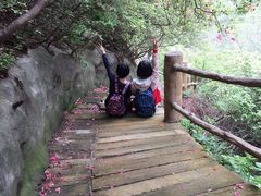 -木兰云雾山