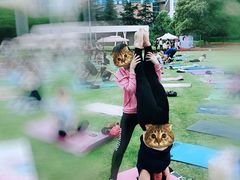 -舒适堡(宝地广场店)