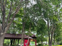 -塘沽森林公园