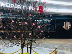 -京基滨河时代广场