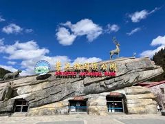 -普达措国家公园