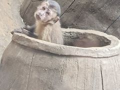 -长鹿旅游休博园