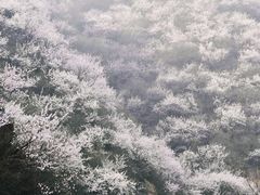 -妙峰山风景名胜区