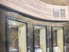 -辽宁古生物博物馆