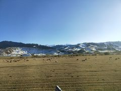 -新疆那拉提国家旅游度假区