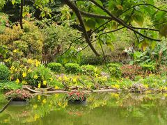 -深圳仙湖植物园