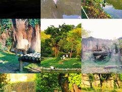 -杭州野生动物世界