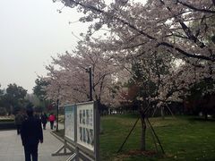 -堤角公园