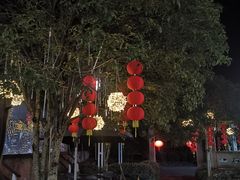 -听风阁农家私房菜茶楼(龙坞店)
