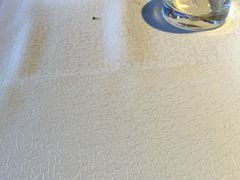 -蔓兰家的四季S0餐厅·融合菜(当代MOMA店)