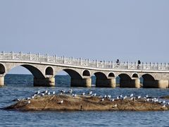 -兴城海滨风景区