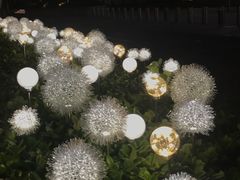 -交通银行前滩31演艺中心