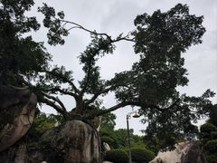 -南普陀寺