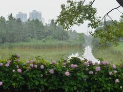 -八大山人梅湖景区