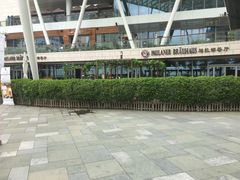 -Paulaner·德国帕拉娜自酿啤酒餐厅(海上世界店)