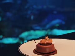 -迪拜帆船酒店海底餐厅