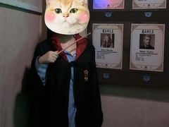 -谜盒子奇幻密室(南屏店)
