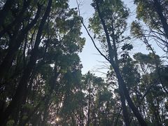 -同里国家湿地公园