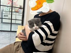 -美联众合爱康动物医院•复杂内科•肿瘤科•牙科•腔镜诊疗中心