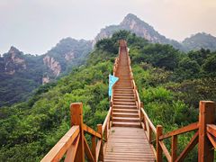 景点-大岭沟猕猴桃谷风景区