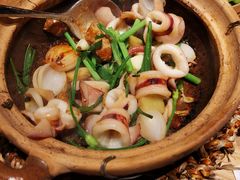 XO酱啫鱿鱼-人间酒暖·Go blanc·烧鸟·深夜食堂(陆家嘴店)