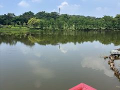 -东莞植物园