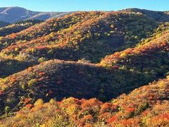 -北京西山国家森林公园