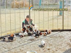 -嬉乐湾休闲旅游区