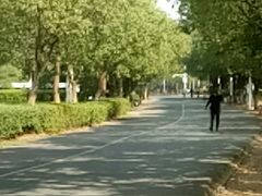 -艾溪湖湿地公园